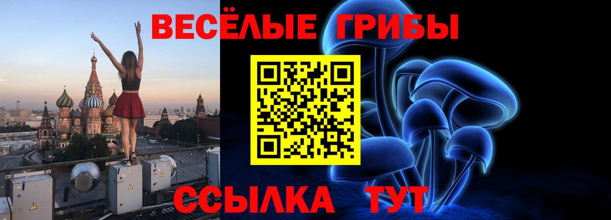 Узловая  Галлюциногенные грибы MAGIC MUSHROOMS  Вход с VPN 